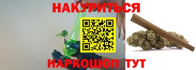 мдпв Бийск