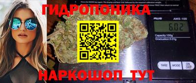 крисы Балаково